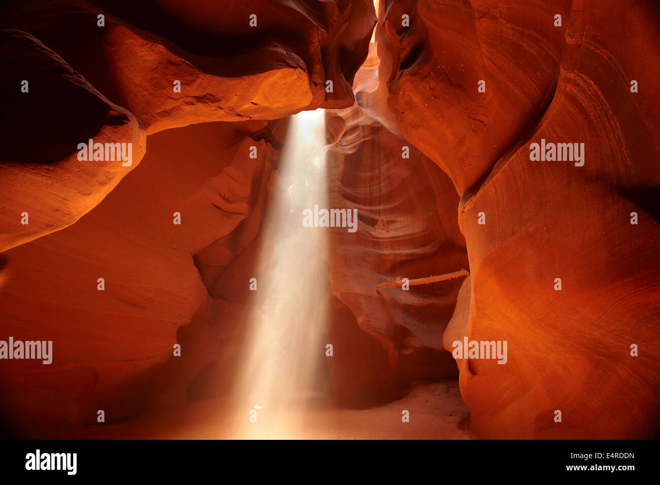 Albero della luce nella parte superiore Antelope Canyon, vicino a pagina, Navajo Nation, Arizona, Stati Uniti d'America Foto Stock