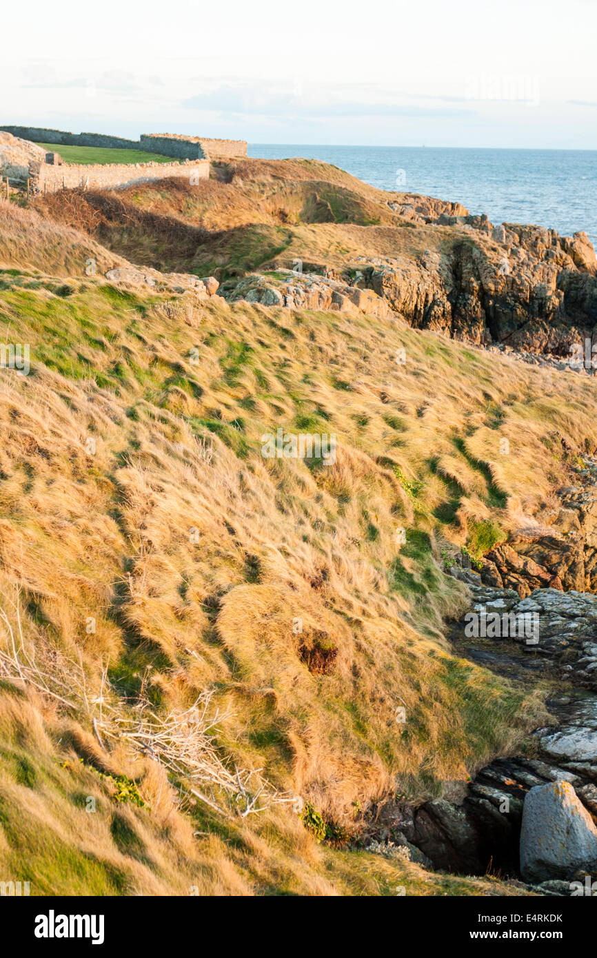Bellissima Costa del paesaggio in Irlanda Foto Stock
