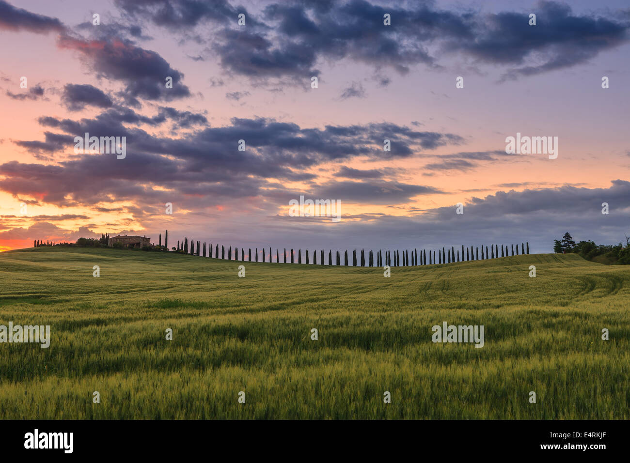 Nel cuore della Toscana, immerso nel verde della Val d'Orcia, sorge l'Agriturismo Poggio Covili Foto Stock