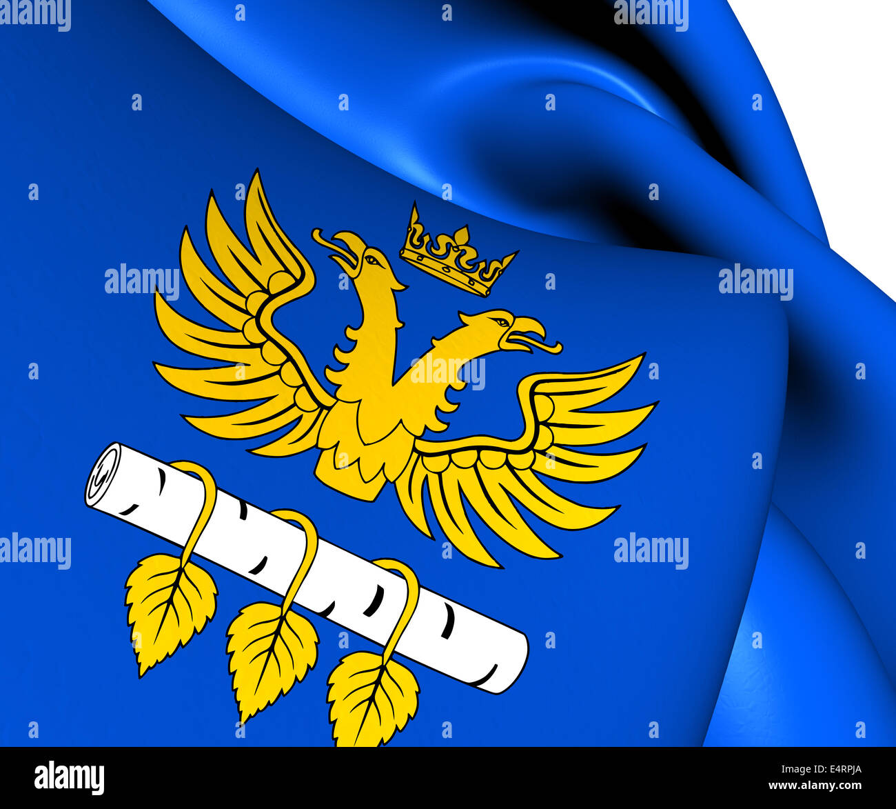 Bandiera della contea di Brzozow, Polonia. Close up. Foto Stock