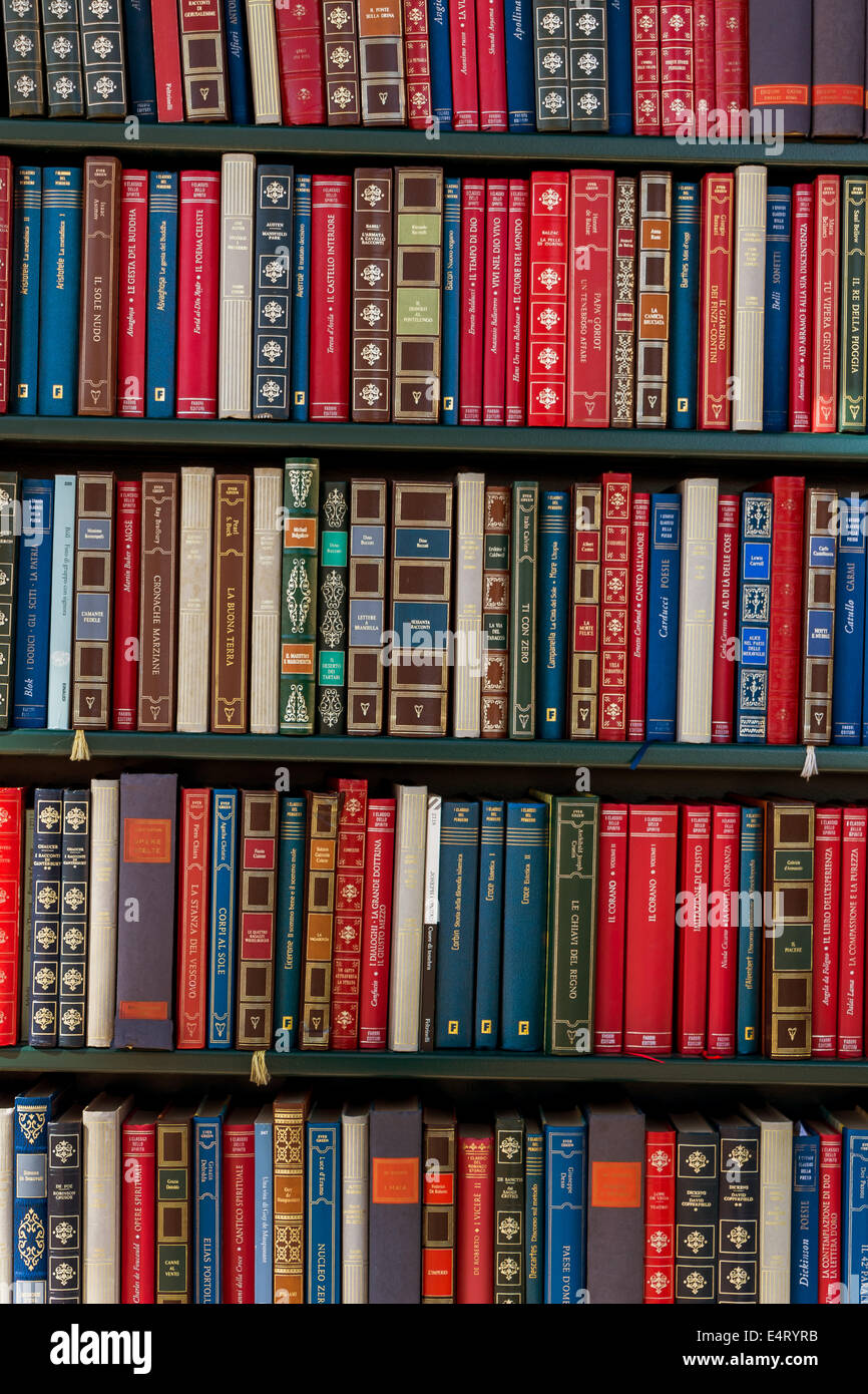 Molti libri diversi in biblioteca foto simbolica per l'educazione  scientifica immagini e fotografie stock ad alta risoluzione - Alamy