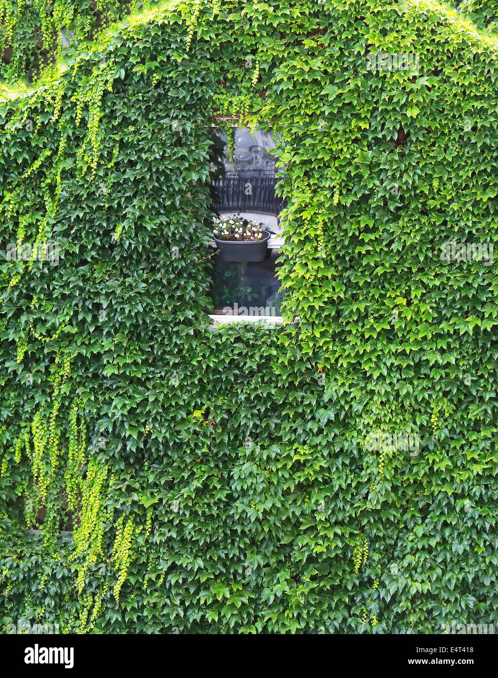 Eco casa a Parigi, Francia Foto Stock