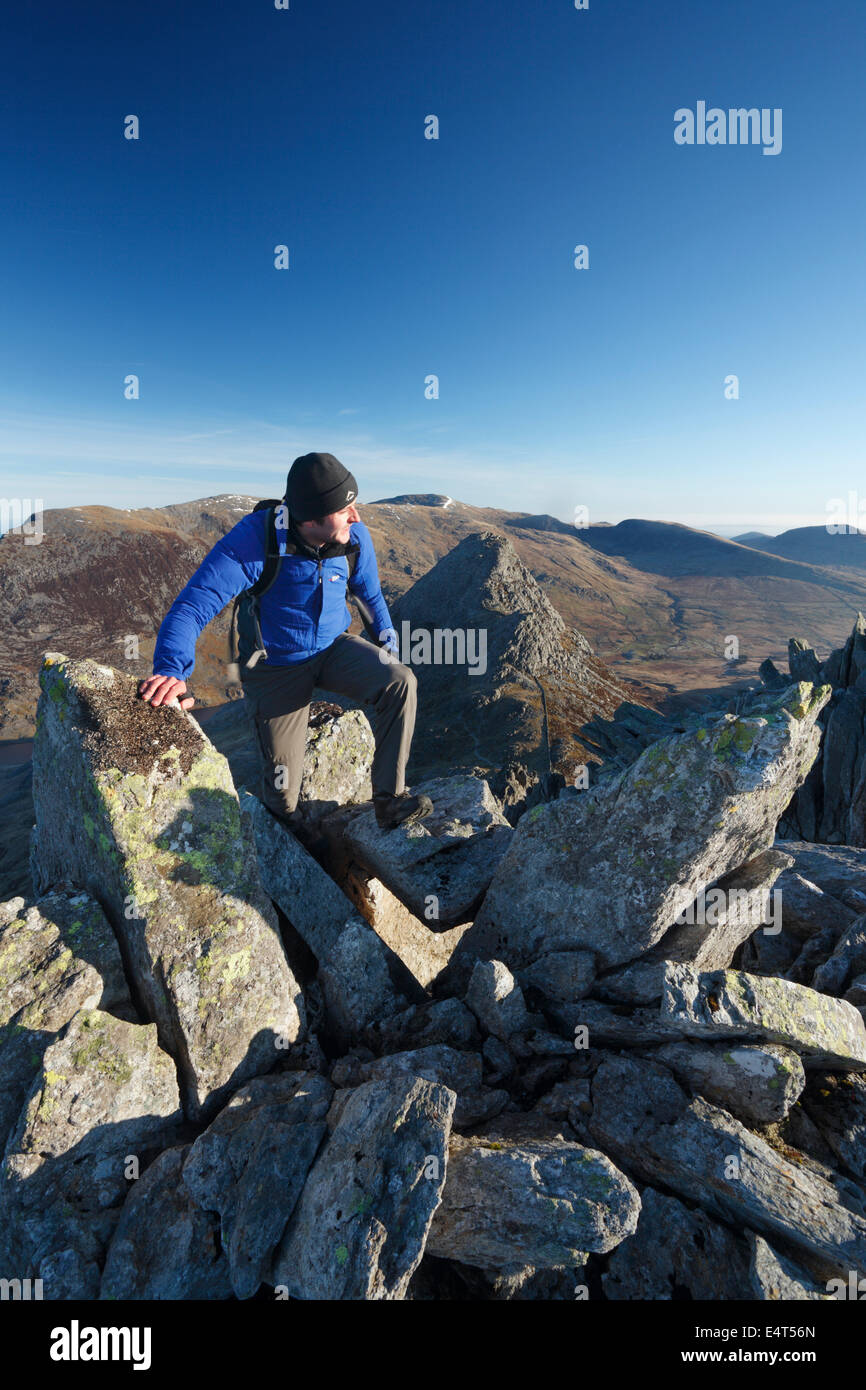 Scrambling Hillwalker su ispido Ridge con Tryfan nella distanza. Parco Nazionale di Snowdonia. Conwy. Il Galles. Regno Unito. Foto Stock