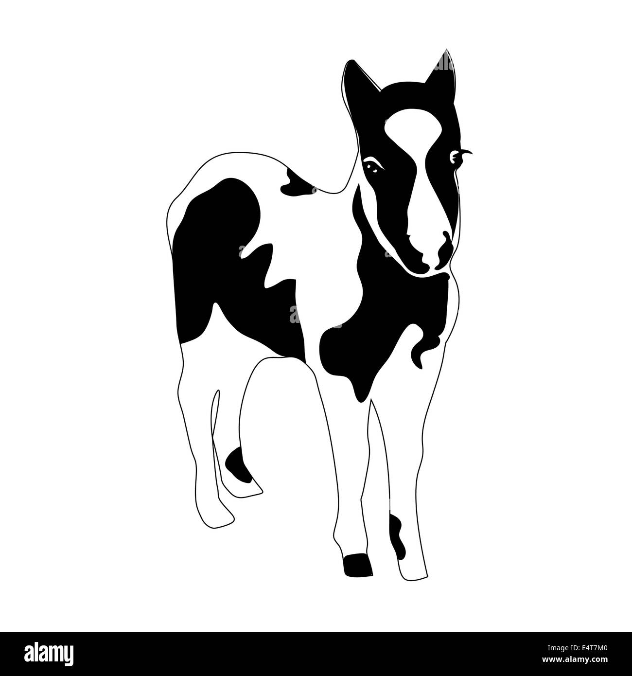 In bianco e nero della silhouette piccolo cavallo. Foto Stock