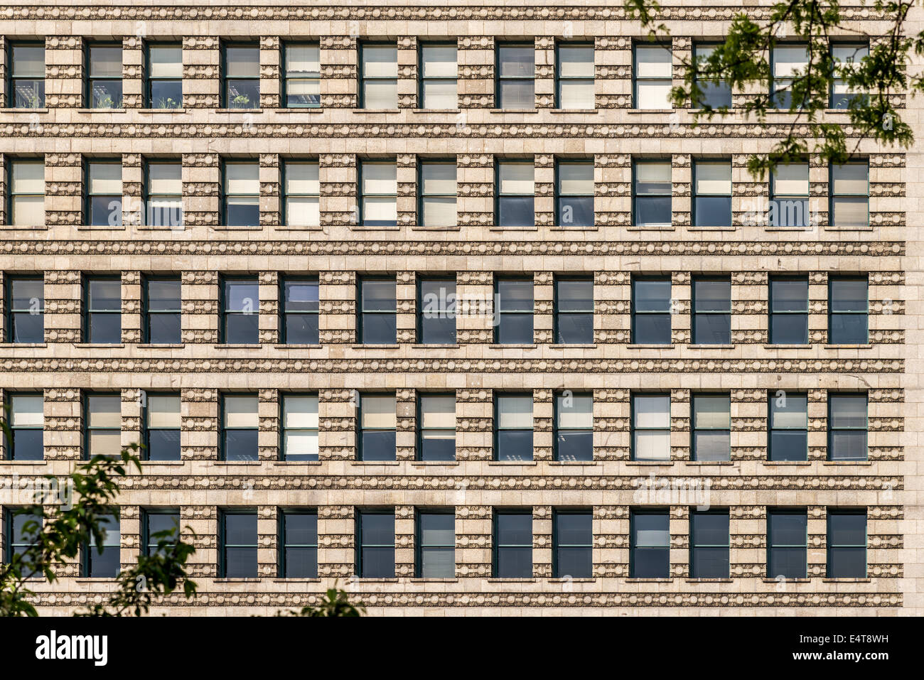 Finestra ripetitivi pattern in un edificio per uffici con verde rami di alberi in angoli opposti. Foto Stock