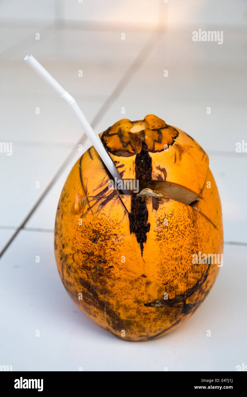 Bali, Indonesia. Fresca Acqua di cocco è servita ad un ospite in un villaggio Balinese. Foto Stock