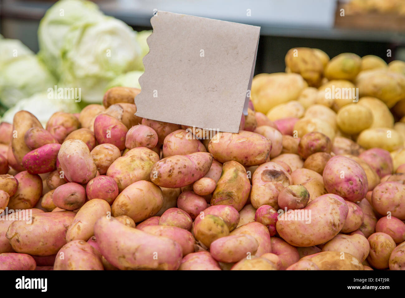 Ortaggi freschi sul mercato Foto Stock