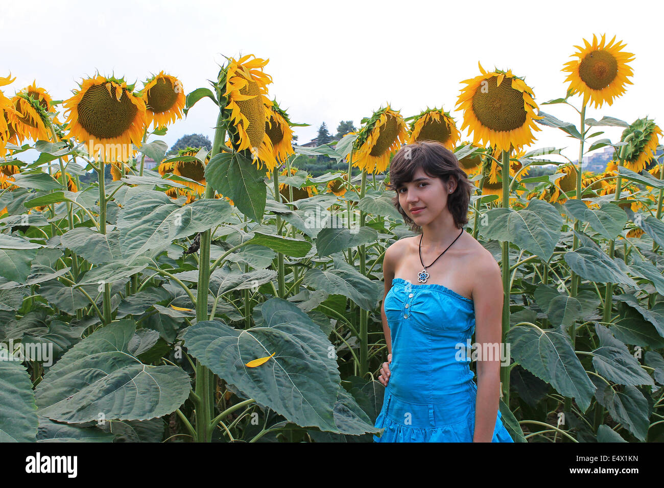 Bella ragazza adolescente che indossa un vestito blu nel campo di girasoli Foto Stock