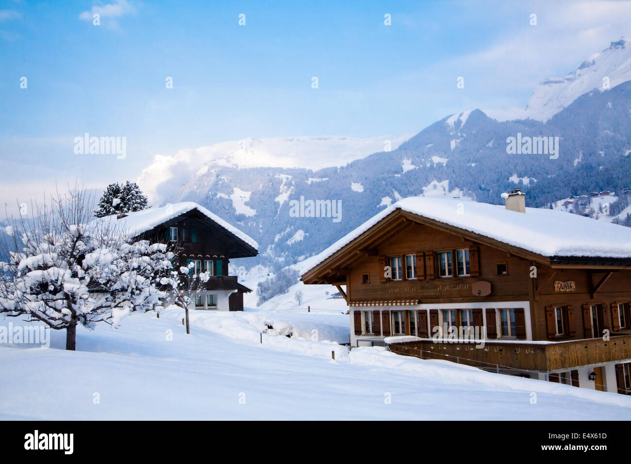 Incantevole paesaggio invernale Foto Stock