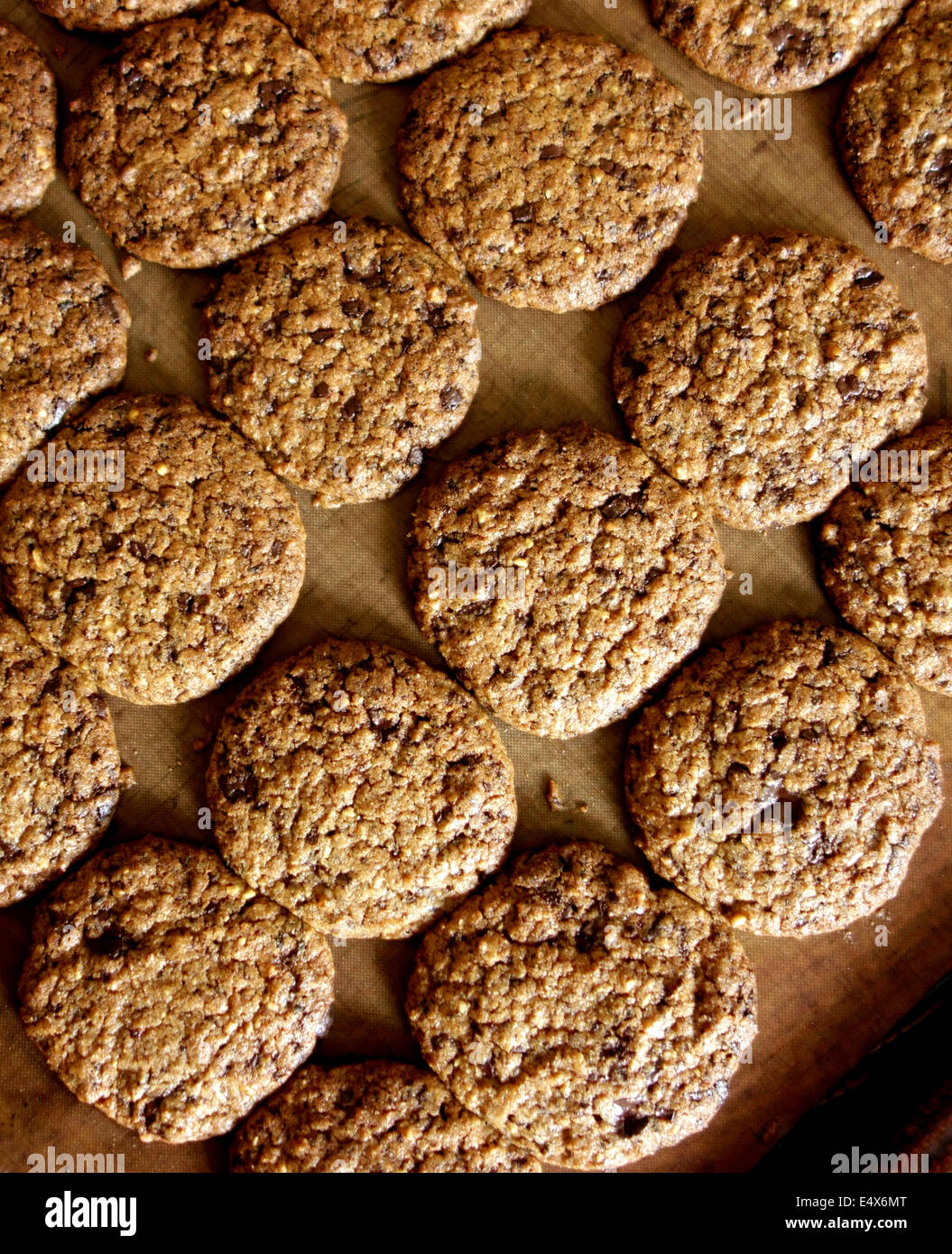 Appena sfornato in casa i biscotti al cioccolato, Inghilterra Foto Stock