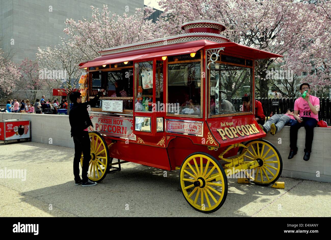 Washington, DC: fornitore di popcorn del classico carro in piedi di fronte al Museo della NASA con il suo bosco di ciliegi in fiore Foto Stock