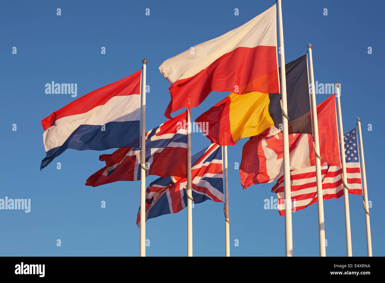 Le bandiere delle principali nazioni alleate battenti fuori del Musee du Debarquement D Day Museum di Arromanches, Normandia, Francia nel mese di luglio Foto Stock