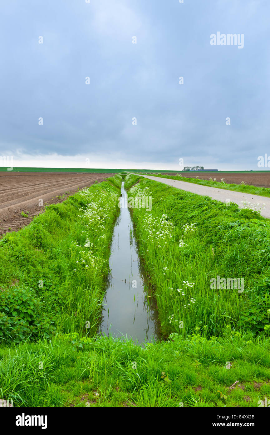Terreni bonificati Foto Stock