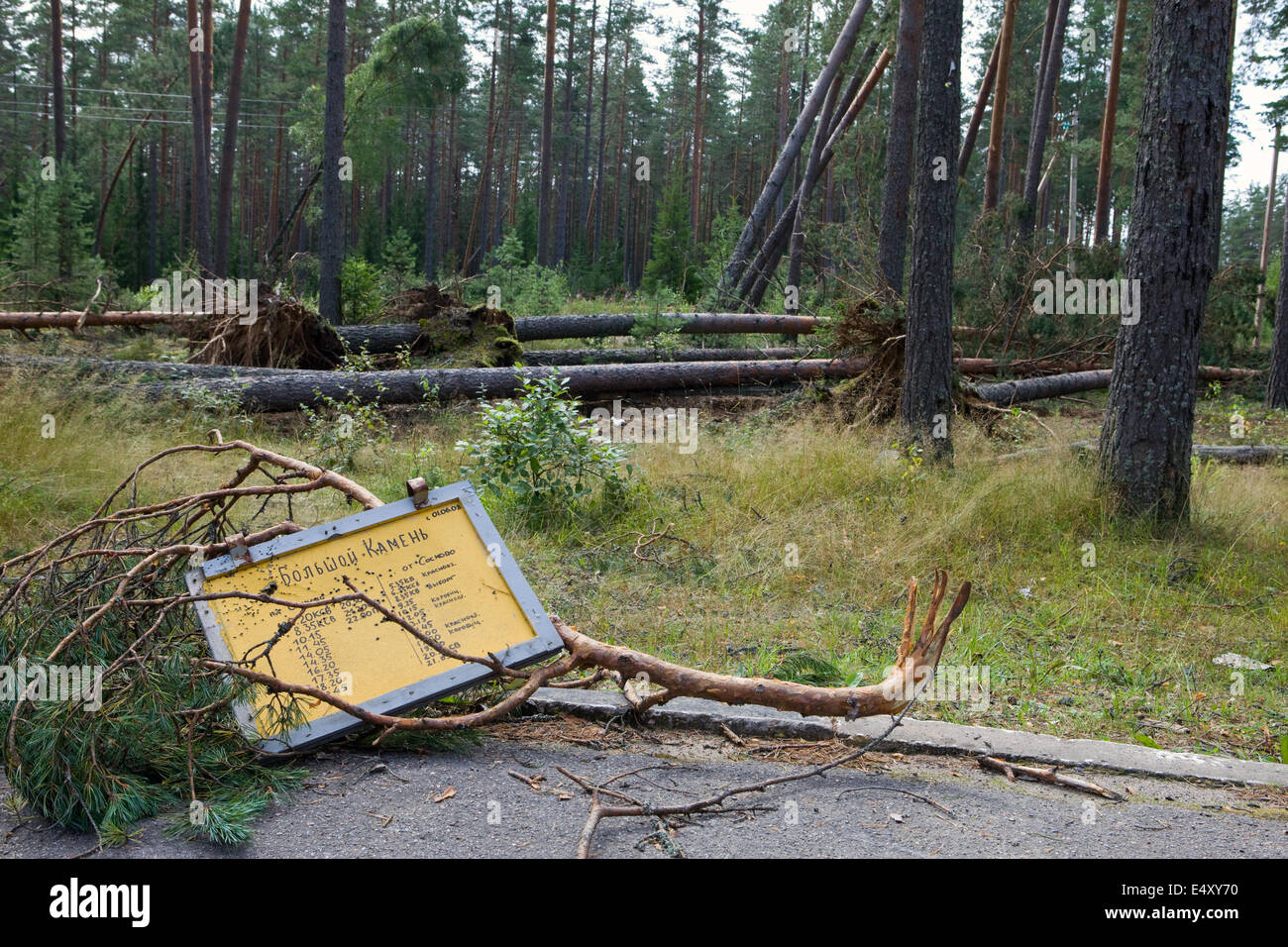 Conseguenze dell'uragano Asta, Russia. Foto Stock