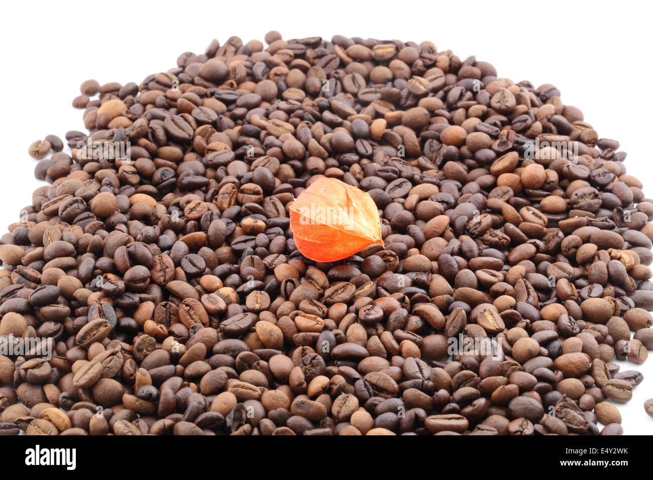 I chicchi di caffè su sfondo bianco Foto Stock