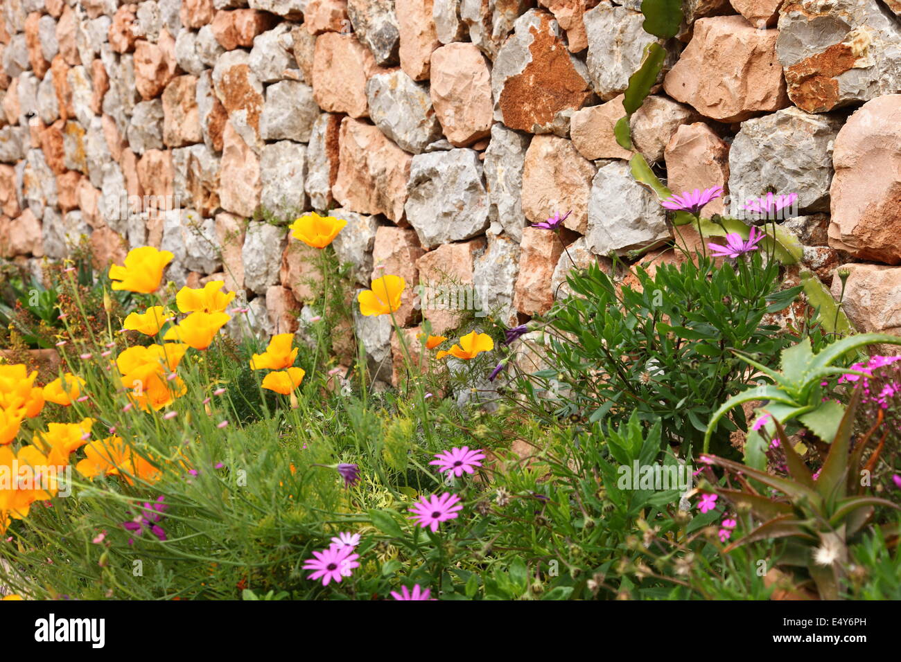 Asciugare la parete di pietra e fiori Foto Stock