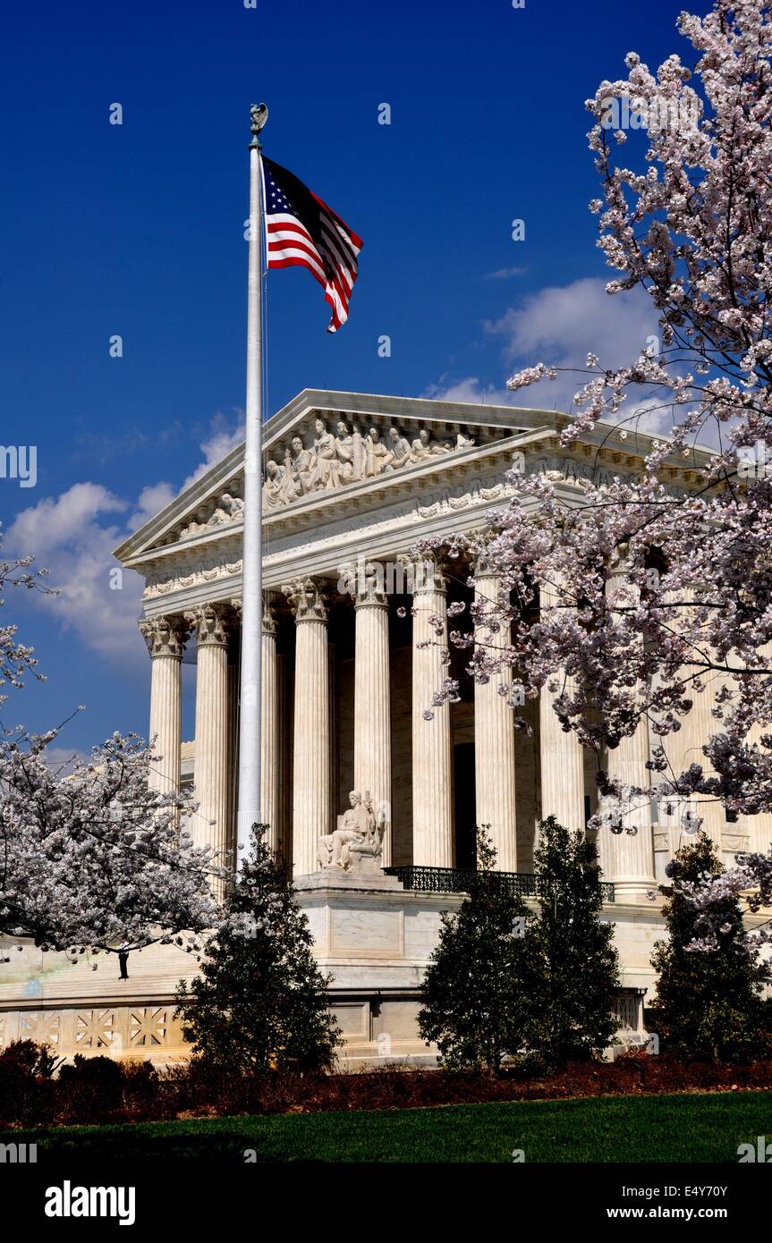 Washington, DC: la fioritura dei ciliegi il telaio il neo-classico fronte ovest del 1935 della Corte suprema degli Stati Uniti Foto Stock