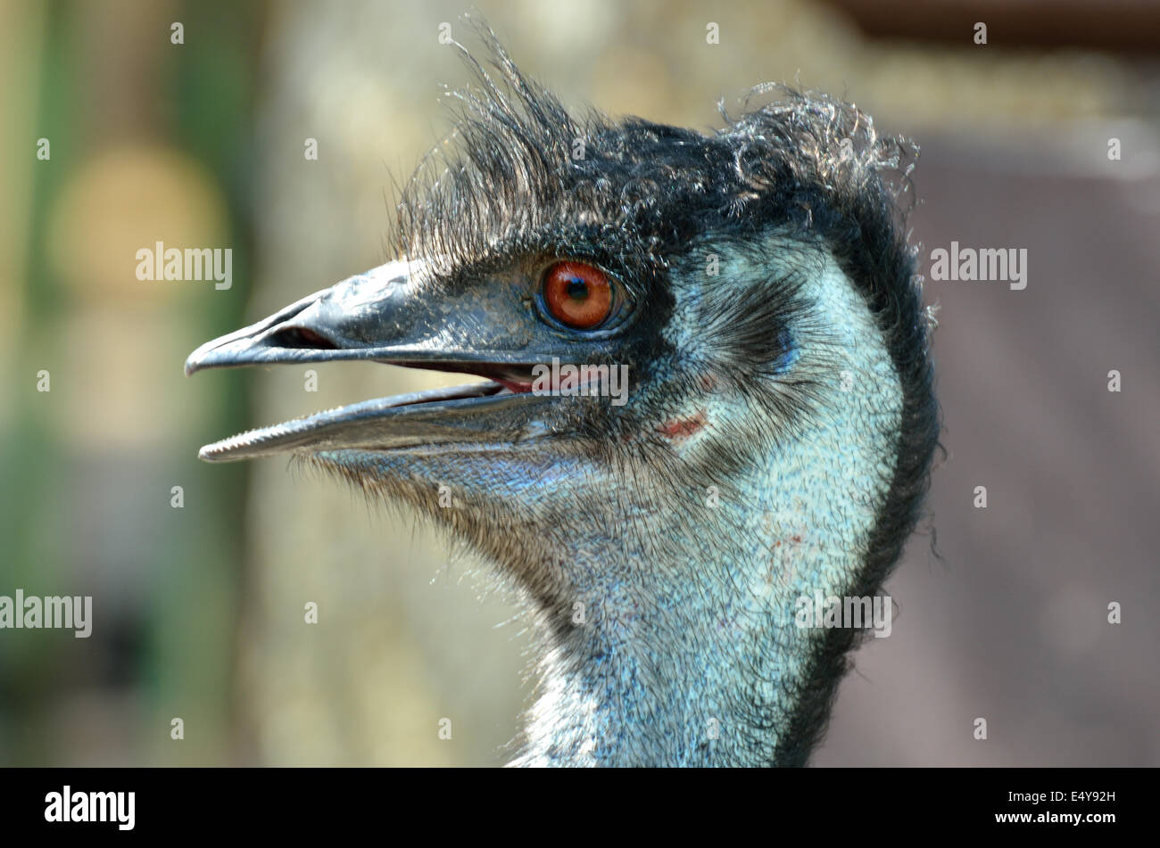 Testa della Uem dal lato Foto Stock