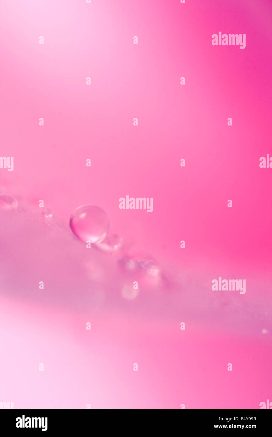 Goccia d'acqua Foto Stock