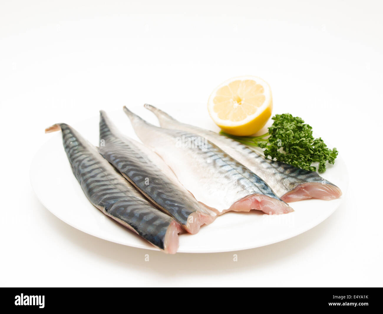 Materie sgombro di filetto di pesce Foto Stock