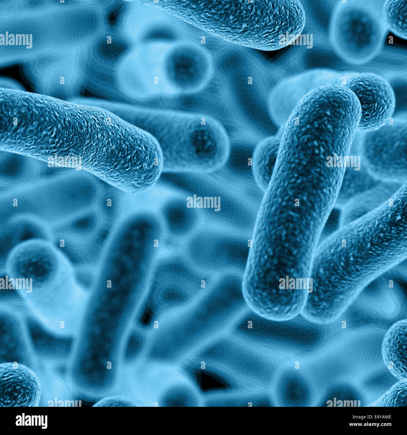 3D render di un germe batteri al microscopio Foto stock - Alamy
