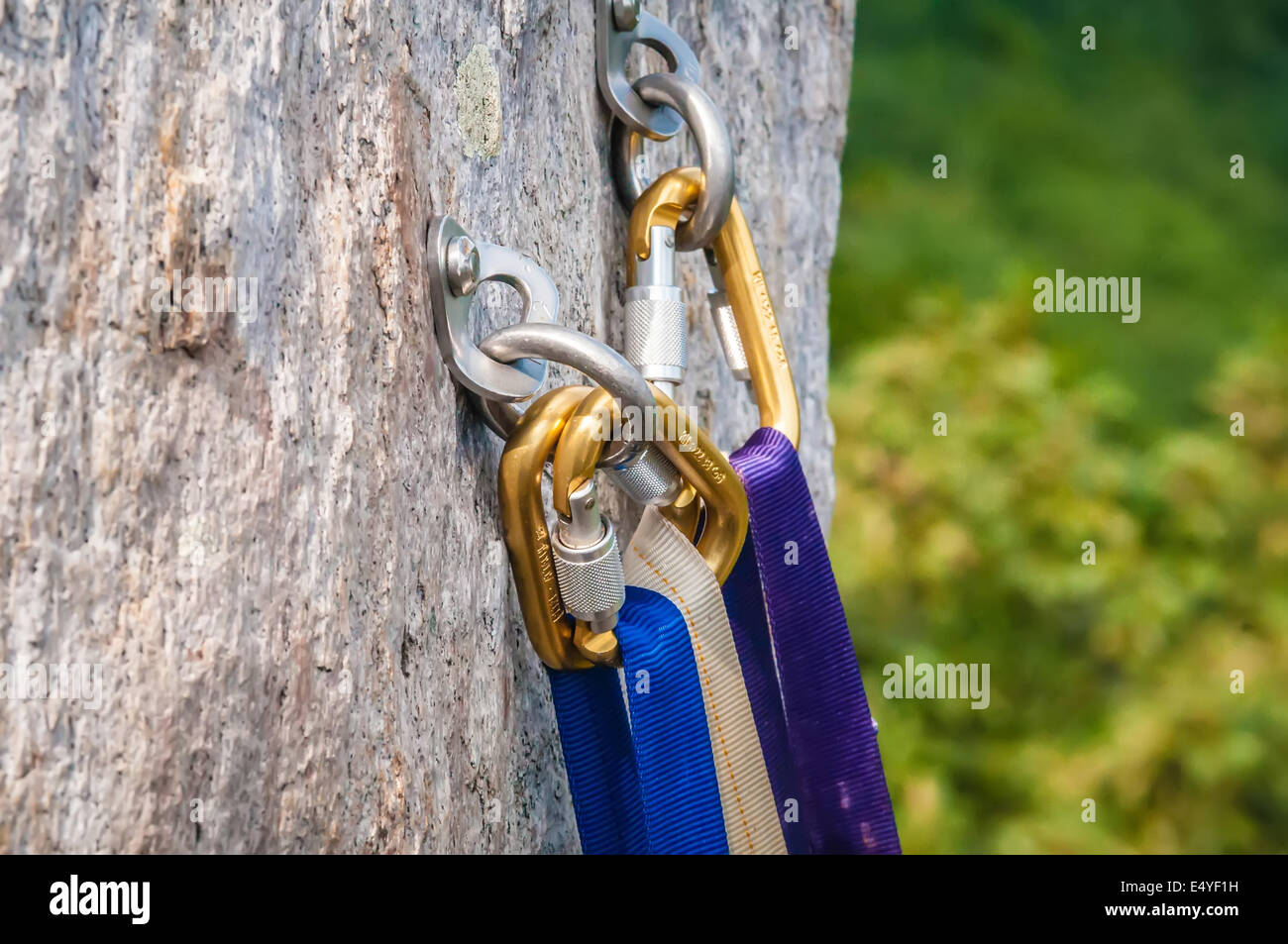 Moschettone arrampicata Foto Stock