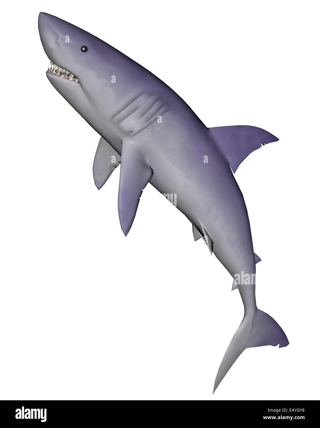 Shark - 3D render Foto Stock
