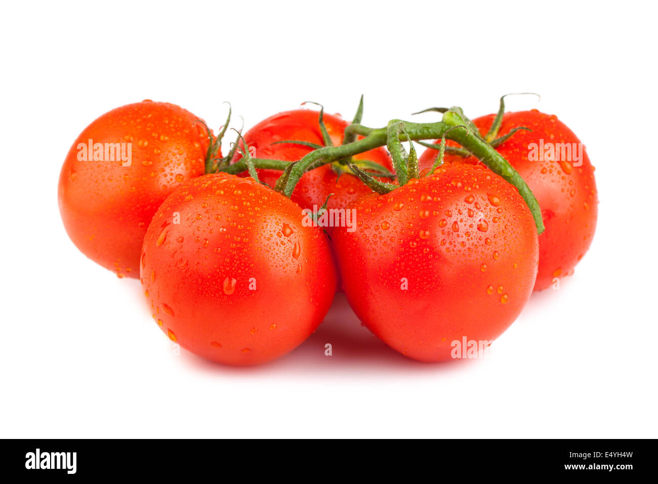 Mature pomodori rossi con gocce d'acqua Foto Stock