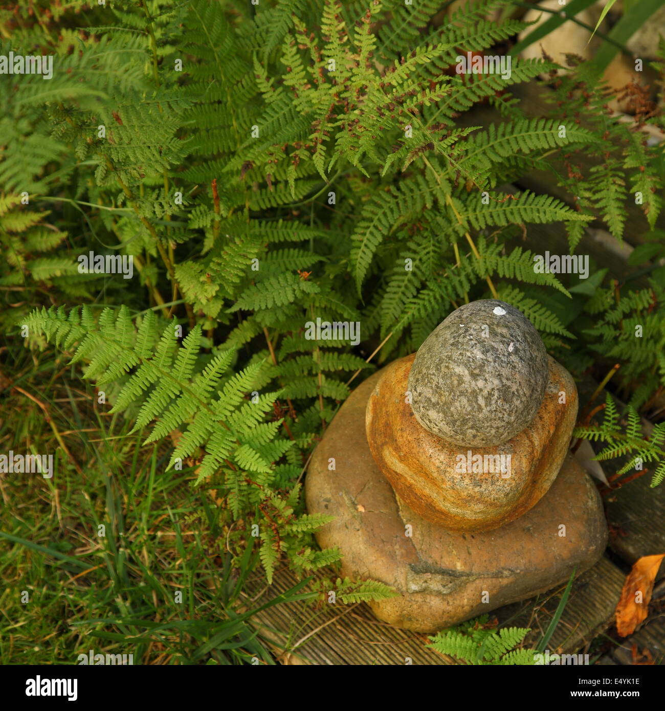 Ciottoli accatastati con foglie di felce Foto Stock