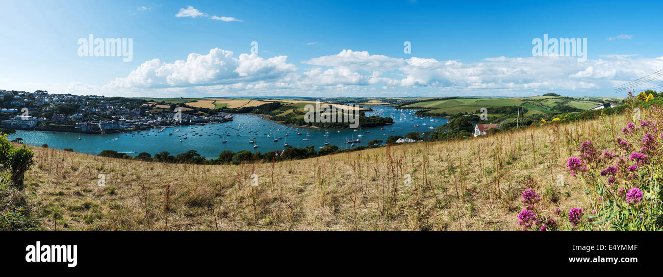 Salcombe, East Portlemouth, South Devon Foto Stock