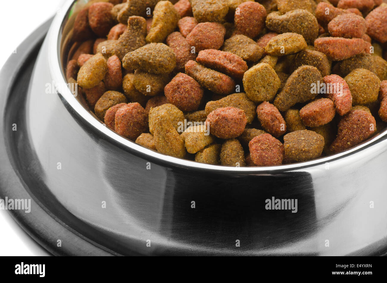 Close up di alimenti per animali da compagnia in recipiente di metallo Foto Stock