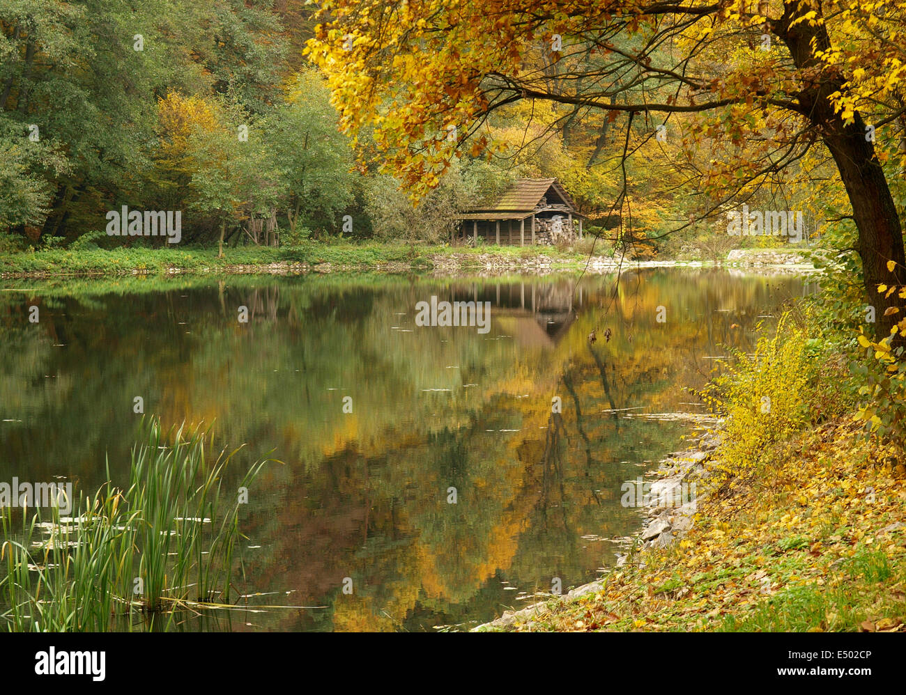 stagno di autunno Foto Stock