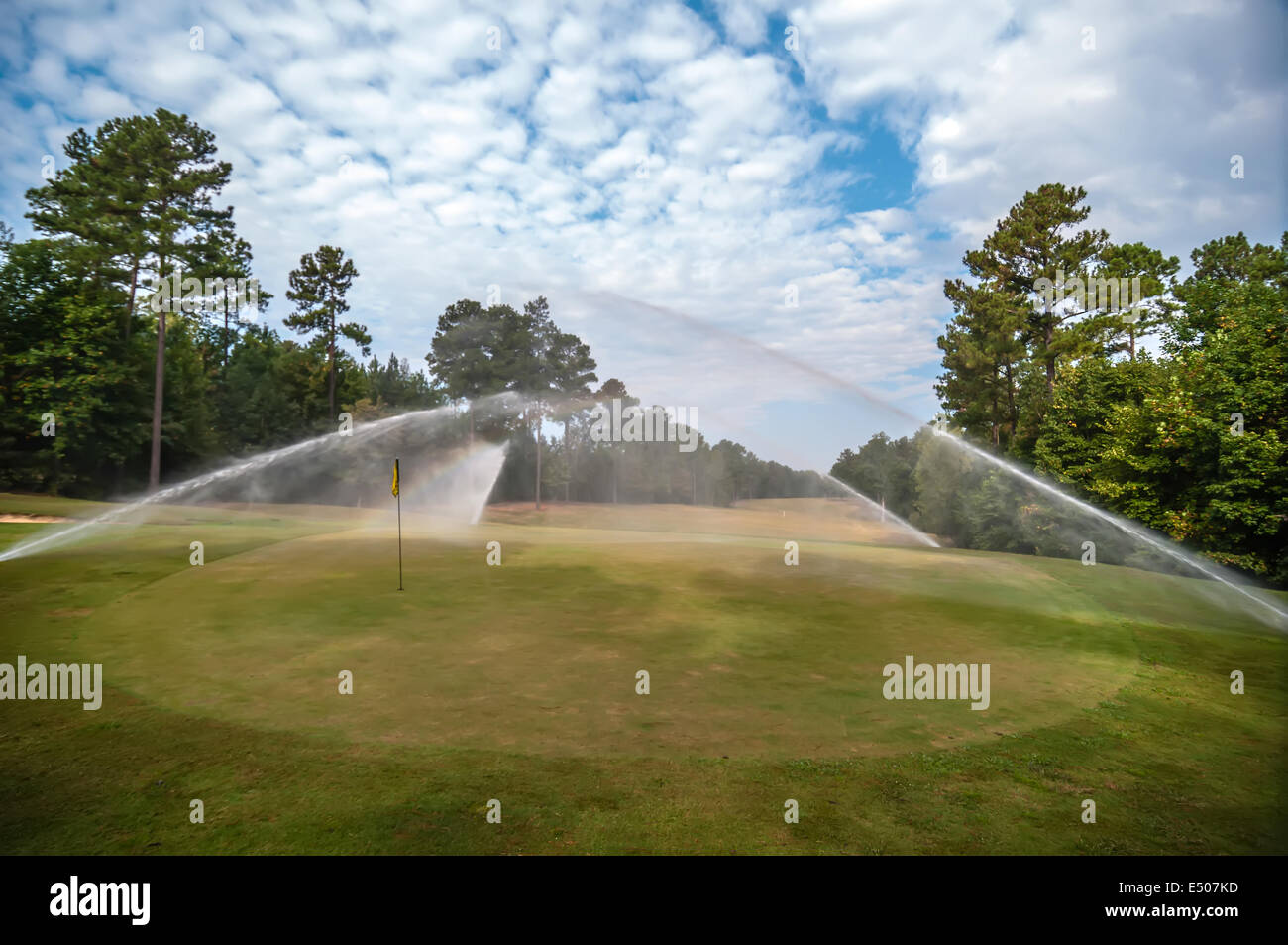 Irrigazione di erba verde prato sul campo da golf Foto Stock