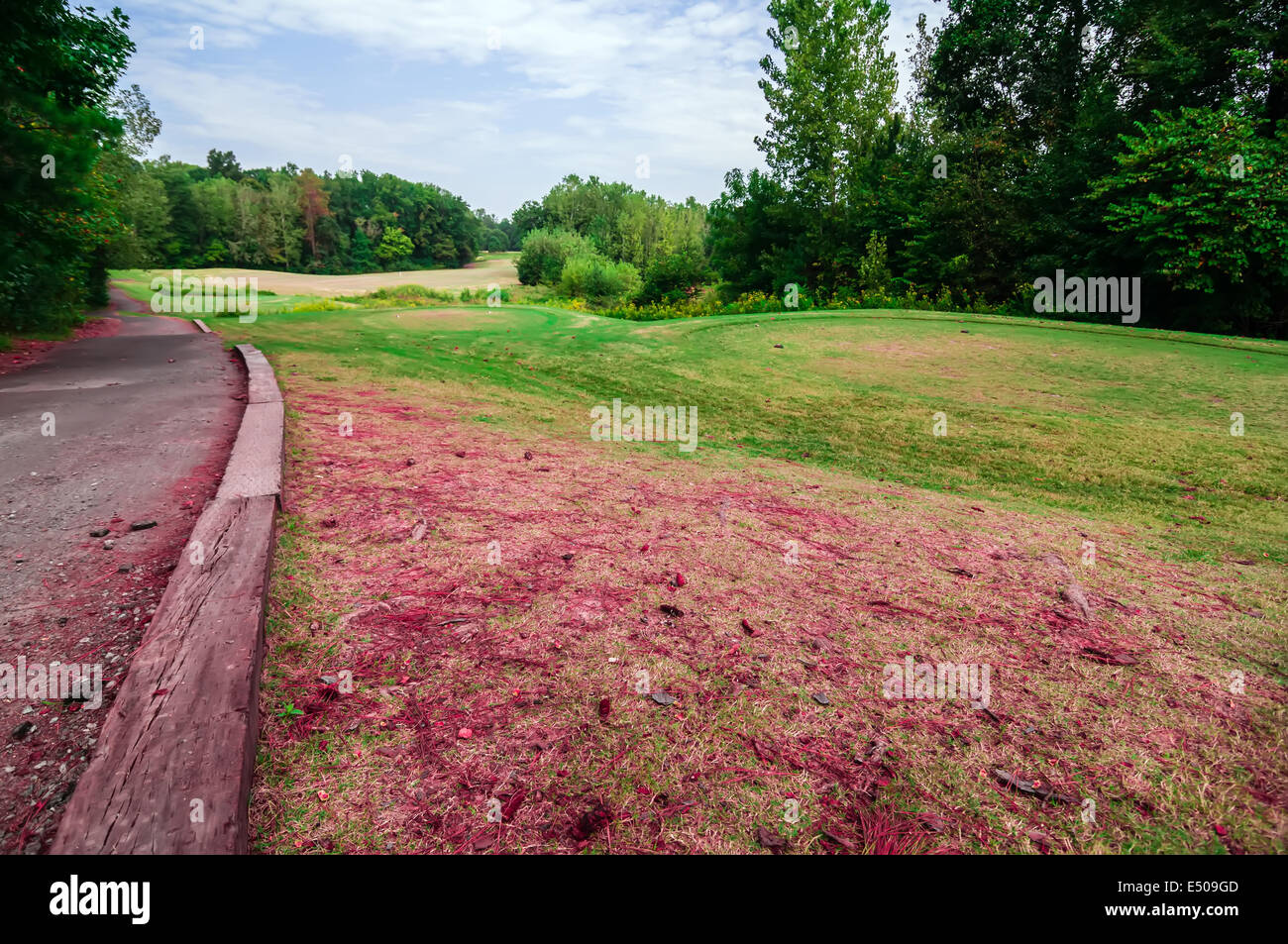 Campo da golf del paesaggio con i golf cart road Foto Stock