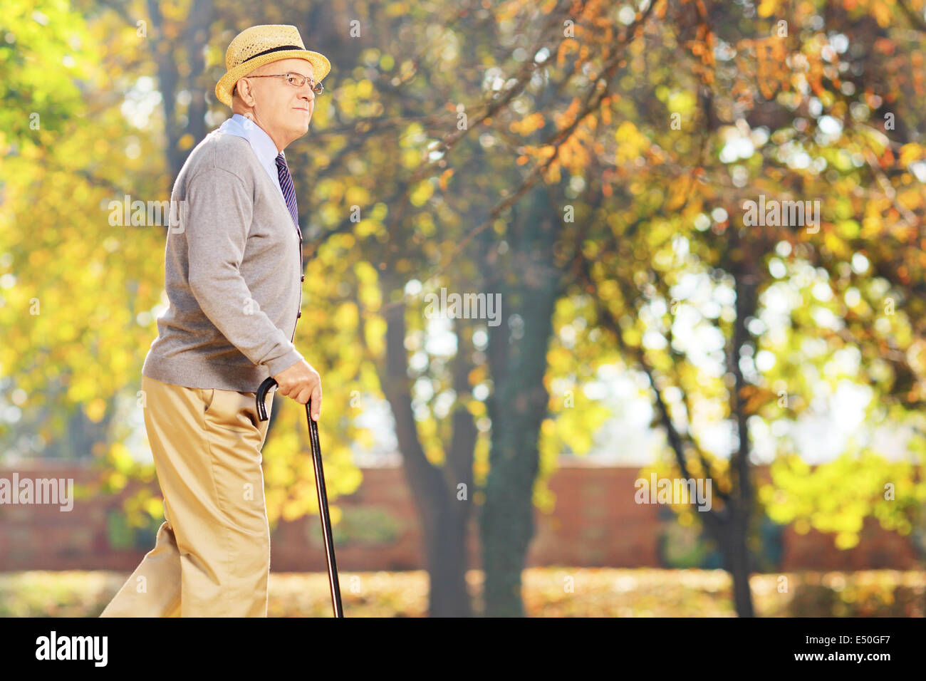 Senior gentleman camminare con un bastone in un parco Foto Stock