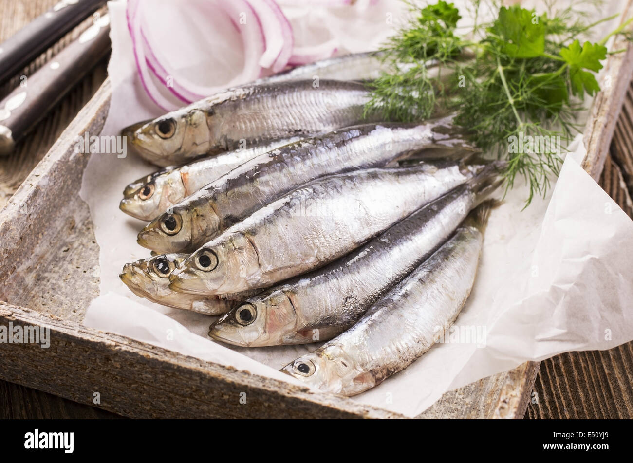 Decapati delle sardelle Foto Stock