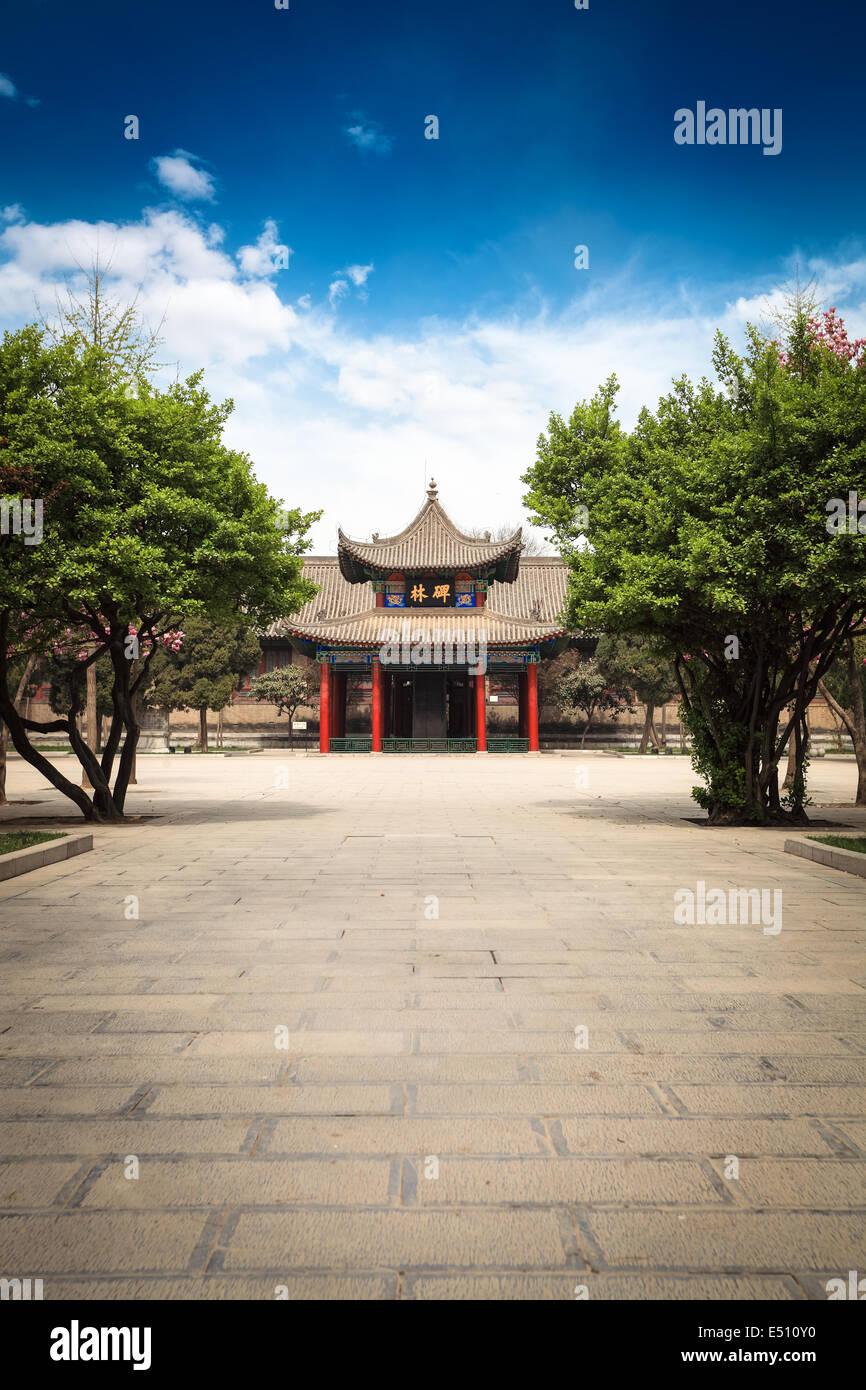Xian beilin museum Foto Stock