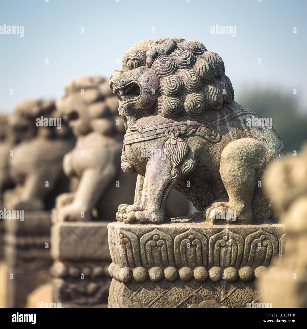 Antico in pietra lion closeup Foto Stock