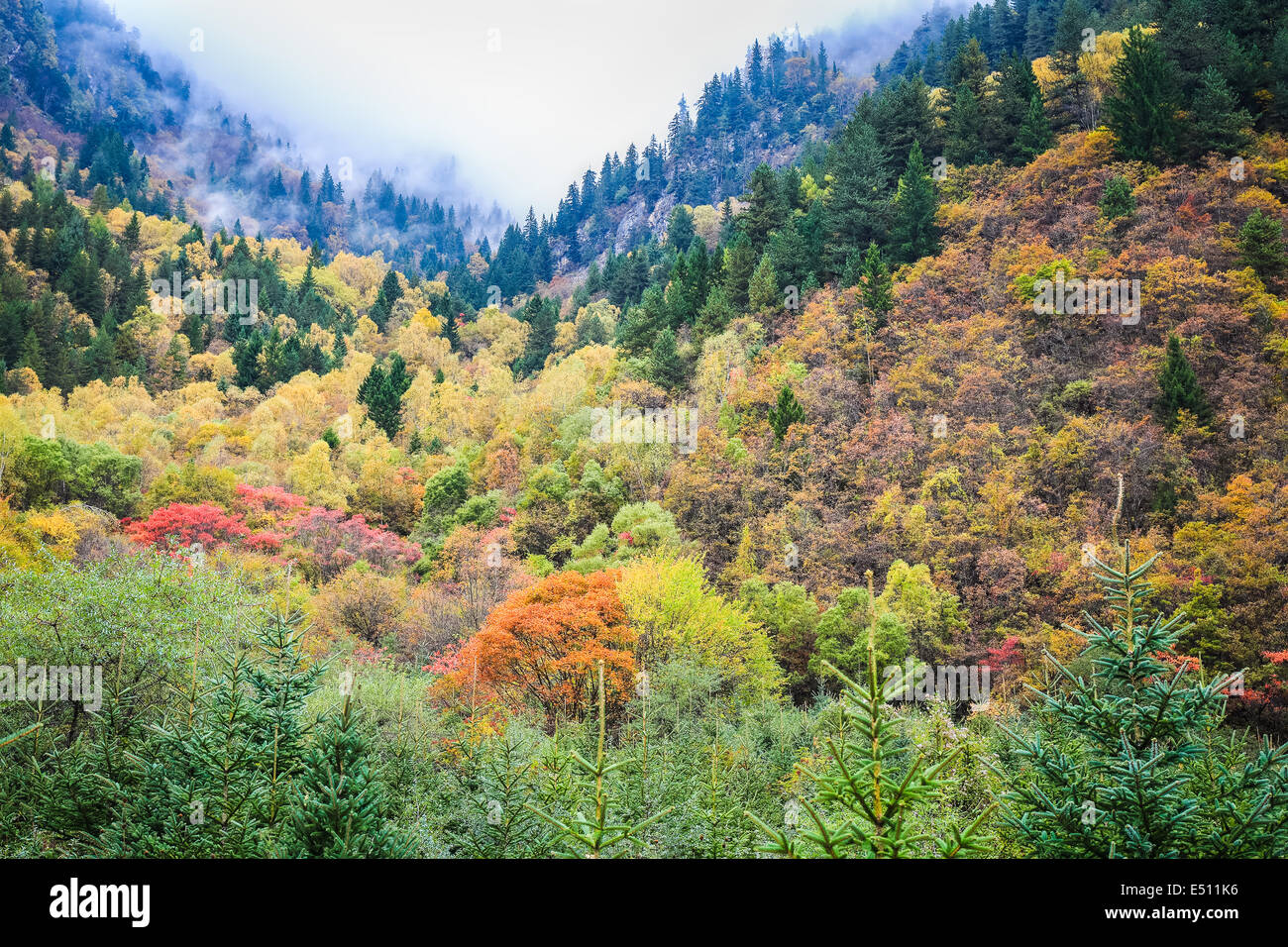 In autunno la valle Foto Stock