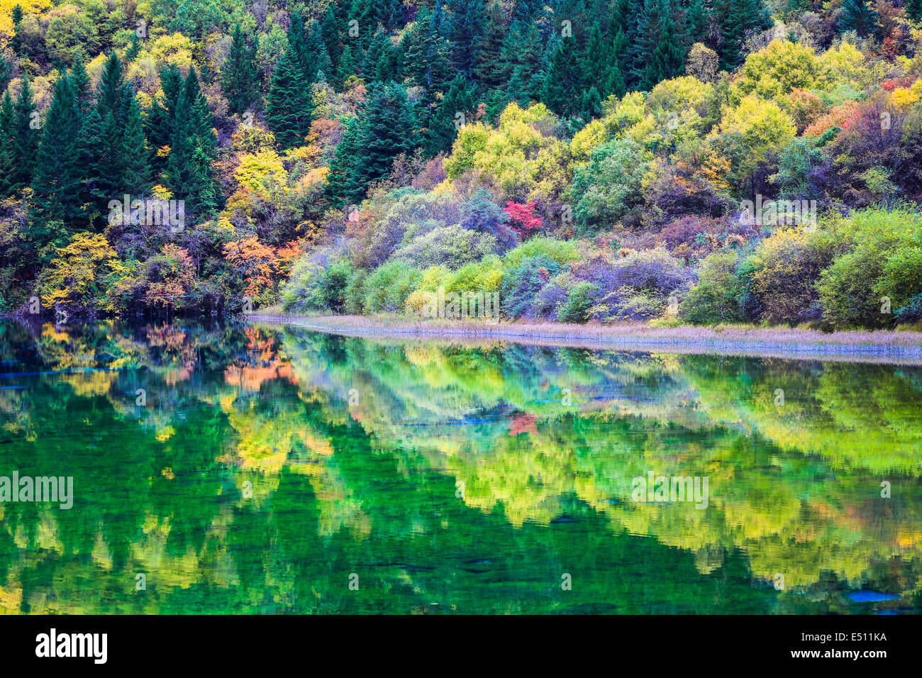 La profusione di colore di autunno sul lago Foto Stock