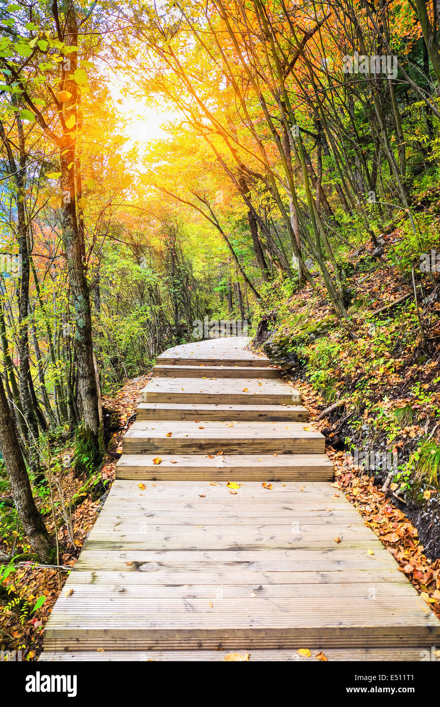 Footway di legno in colori d'autunno Foto Stock