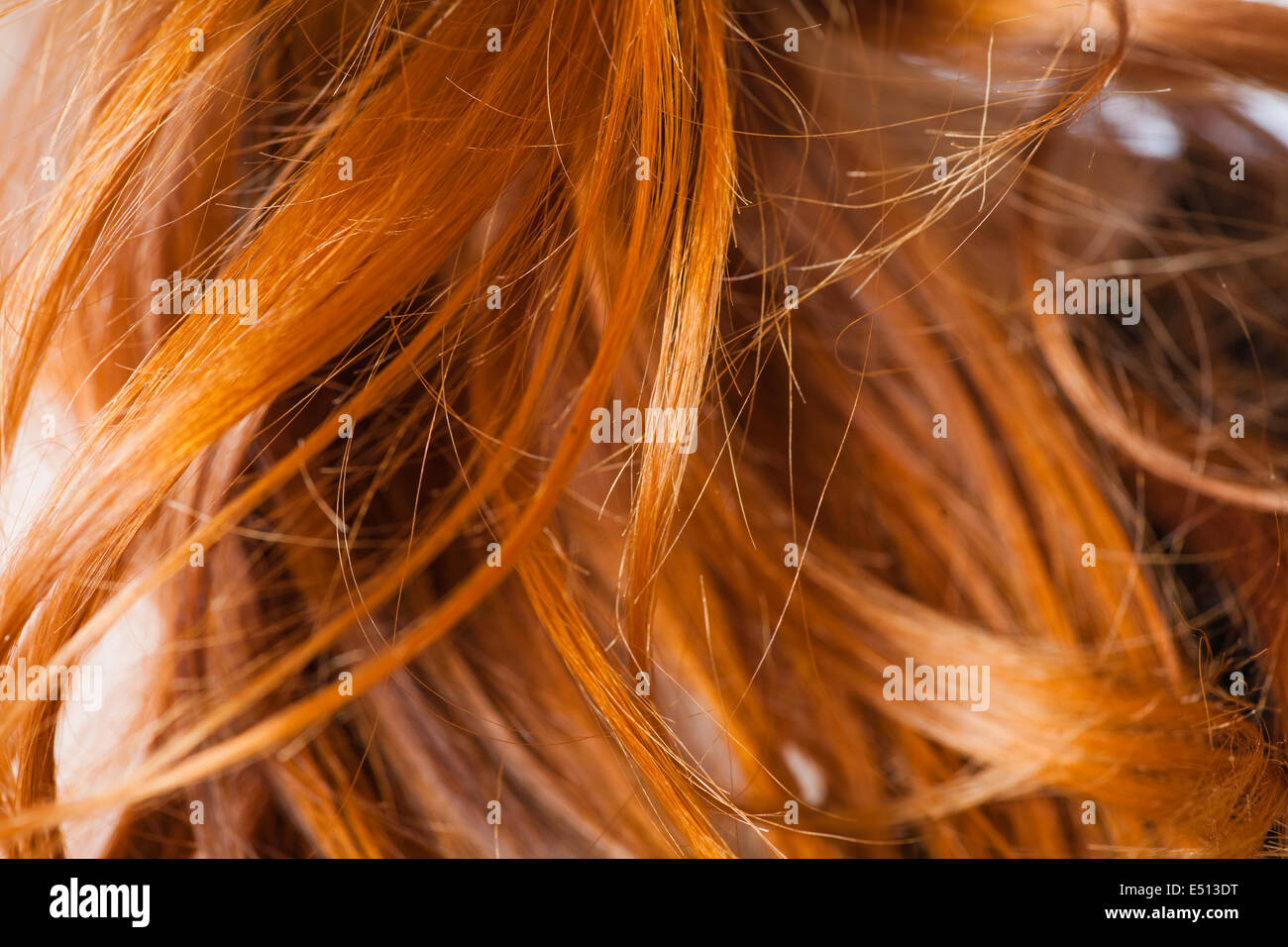 macro di capelli rossi Foto Stock