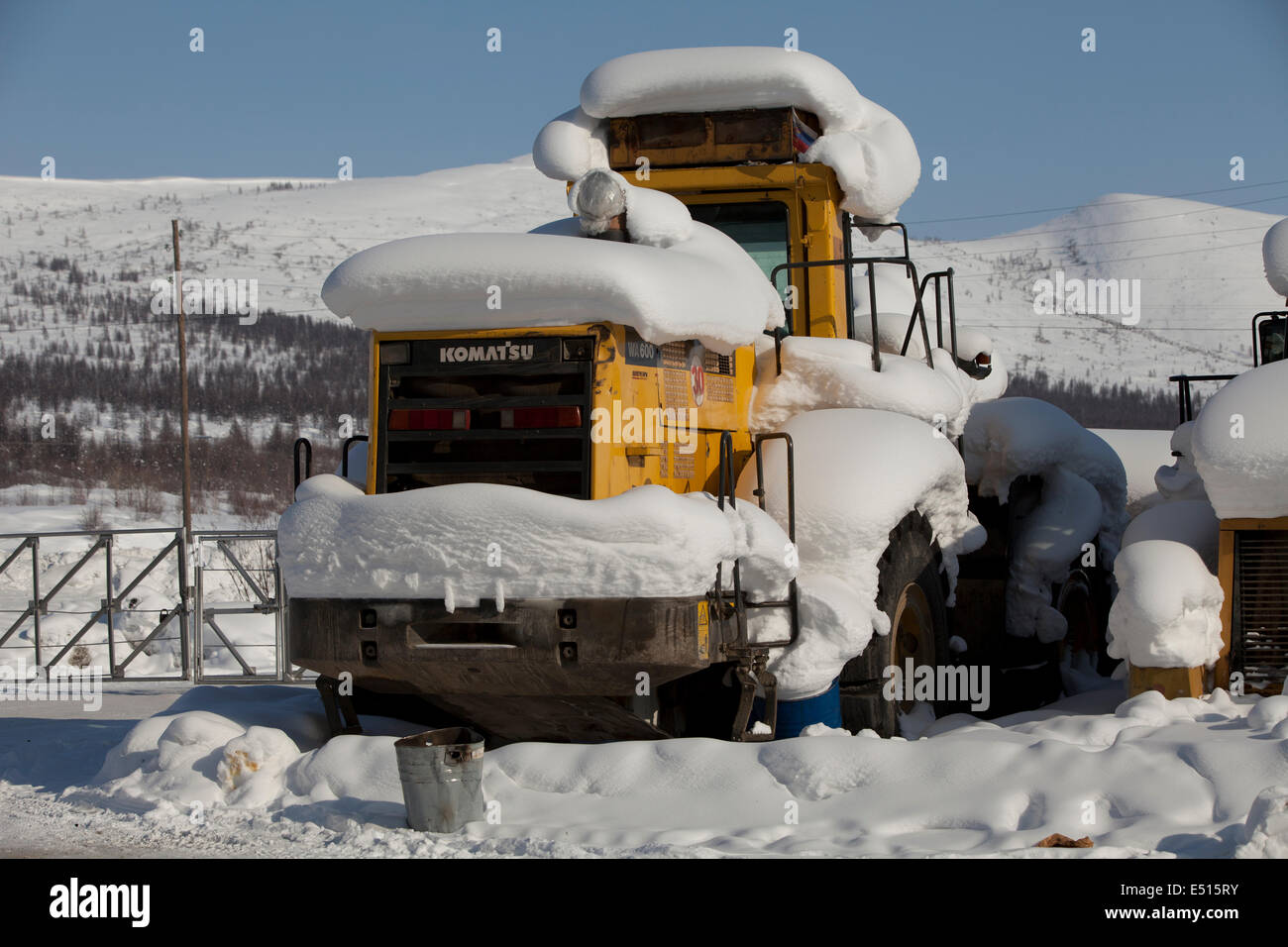 Spartineve ricoperta di neve Foto Stock