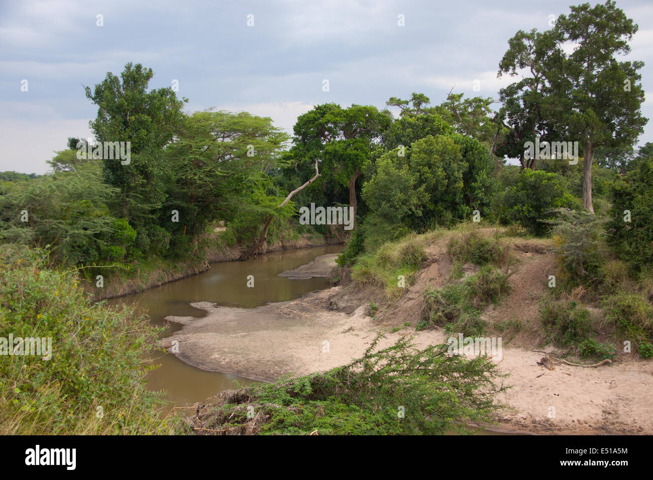 fiume africano Foto Stock