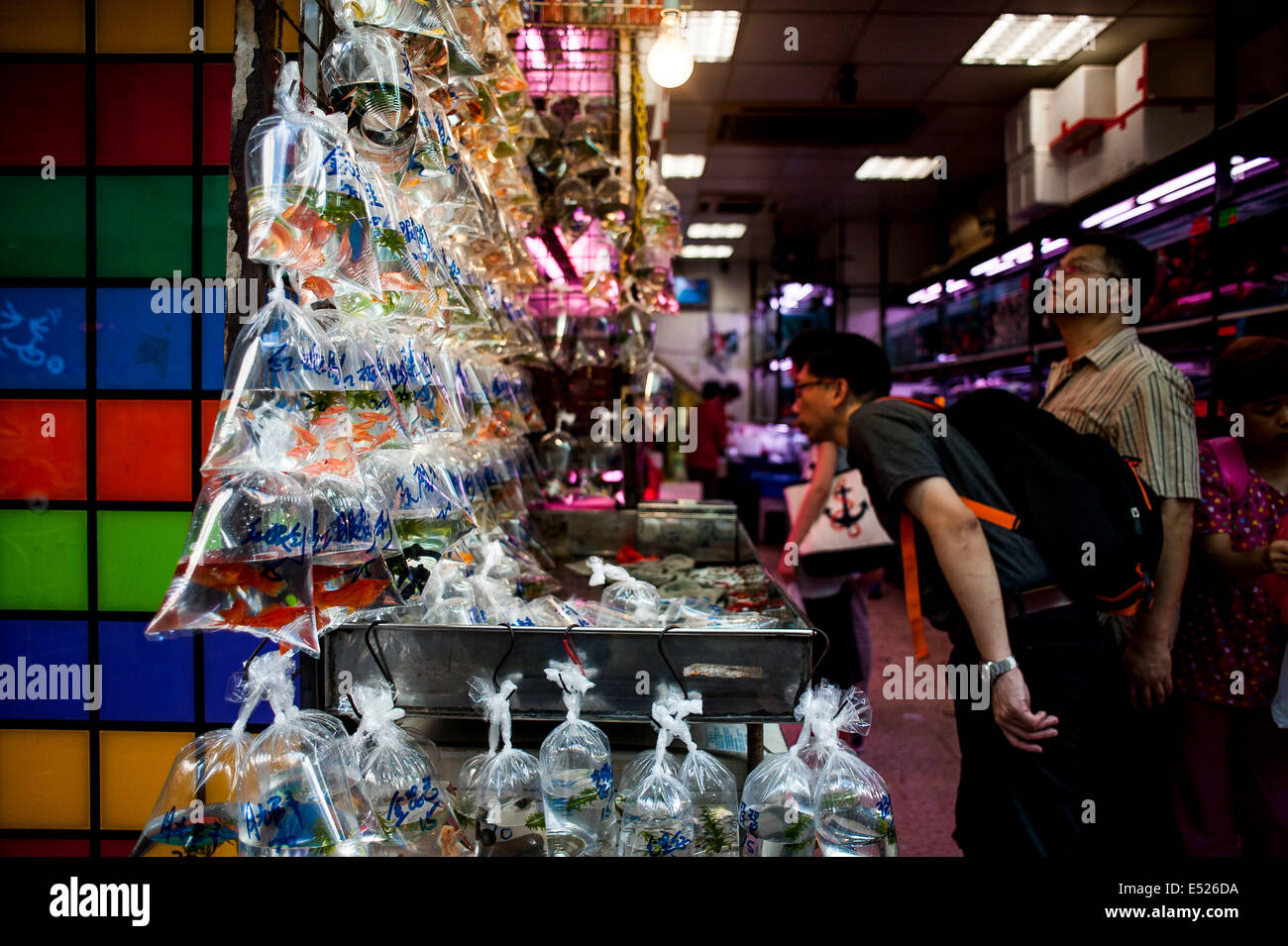 I turisti a vivere un mercato del pesce nel distretto di Mongkok Foto Stock