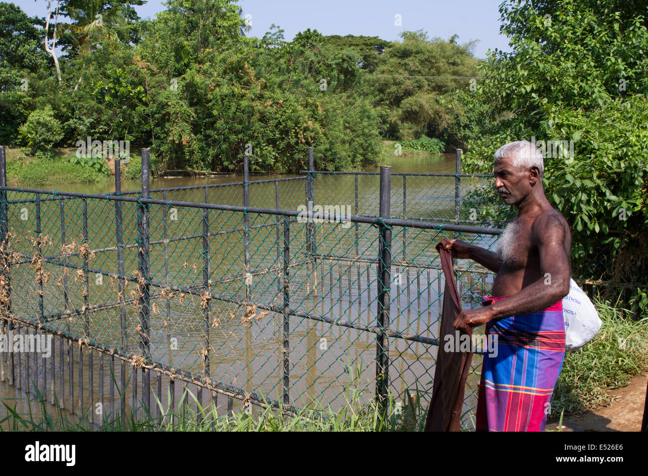 Protezione a gabbia di balneazione per gli abitanti di un villaggio vicino a Matara Sri Lanka da uomo a mangiare i coccodrilli di acqua salata (Crocodylus porosus) Foto Stock