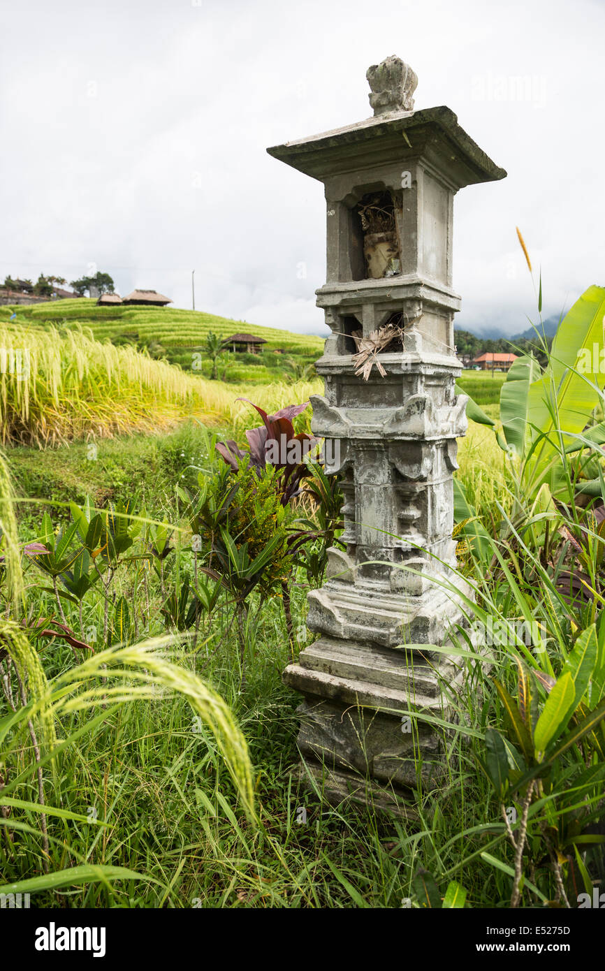 Jatiluwih, Bali, Indonesia. Offerte all'interno di un santuario di Sri, la dea del riso. I campi di riso in background. Foto Stock