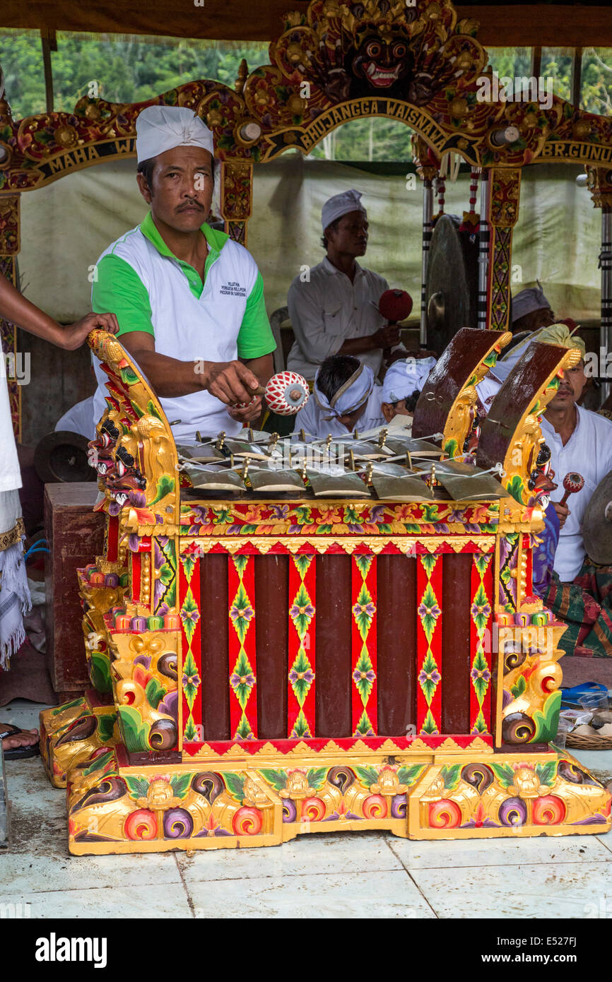 Jatiluwih, Bali, Indonesia. Metallophone (Jegogan) Player in un Gamelan Orchestra, Luhur Bhujangga Waisnawa tempio indù. Foto Stock Jatiluwih, Bali, Indonesia. Metallophone (Jegogan) Player in un Gamelan Orchestra, Luhur Bhujangga Waisnawa tempio indù. Foto Stock