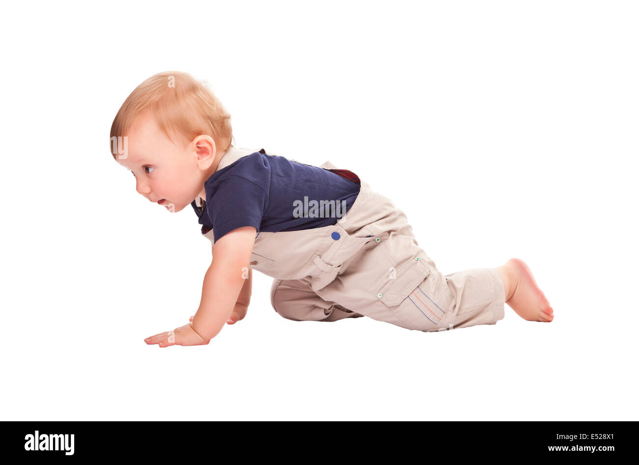 Bambino crawl isolati su sfondo bianco Foto Stock