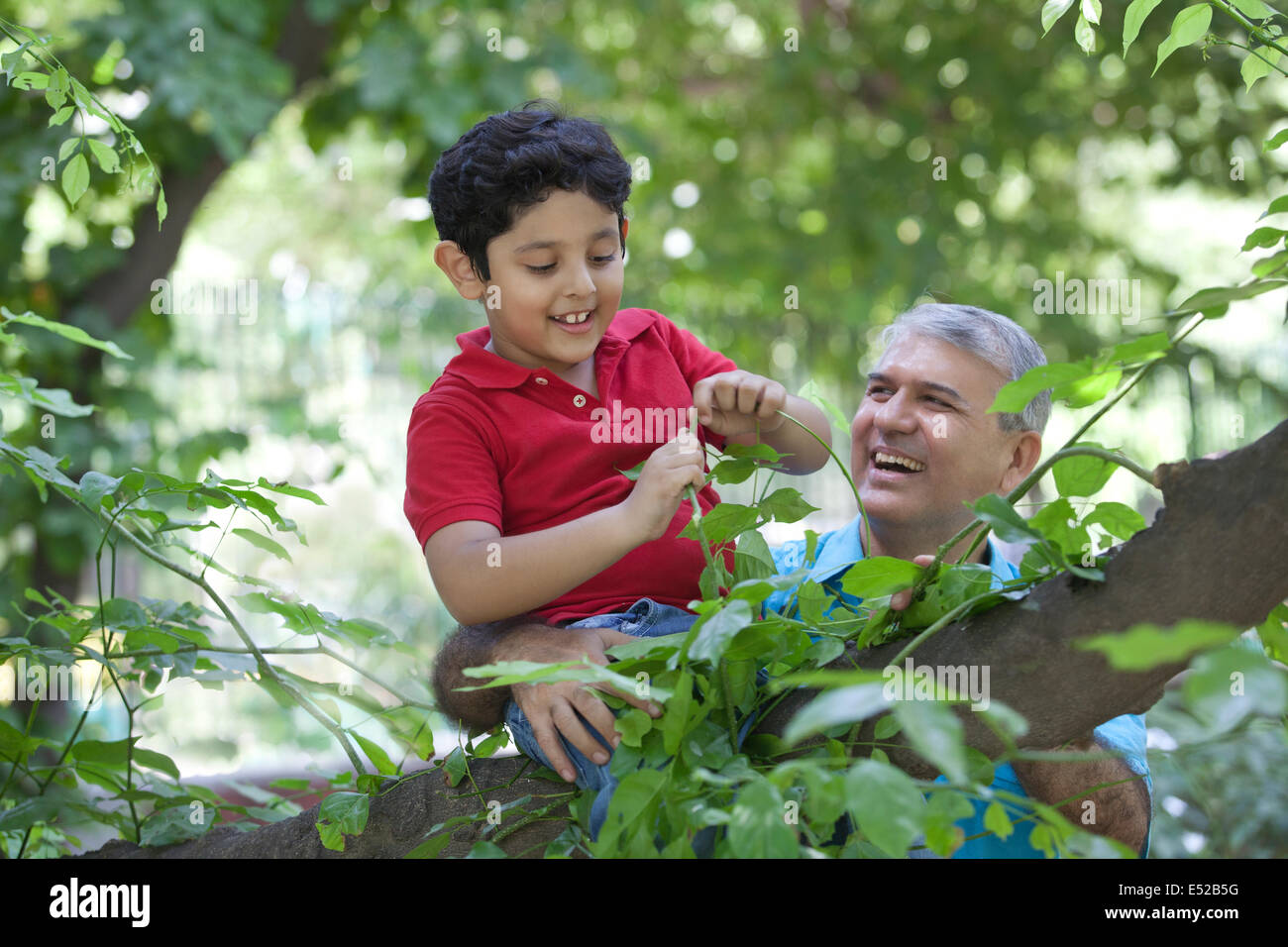 Ragazzo giocando con piante mentre è seduto su un ramo di albero Foto Stock